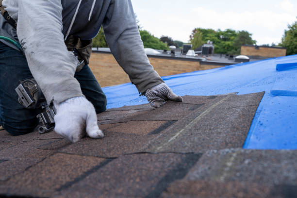 Best Roof Coating and Sealing  in Owingsville, KY